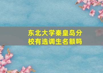 东北大学秦皇岛分校有选调生名额吗