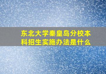 东北大学秦皇岛分校本科招生实施办法是什么