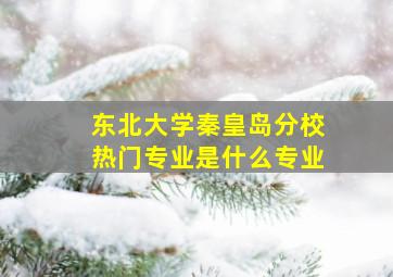 东北大学秦皇岛分校热门专业是什么专业