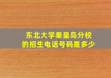 东北大学秦皇岛分校的招生电话号码是多少