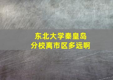 东北大学秦皇岛分校离市区多远啊