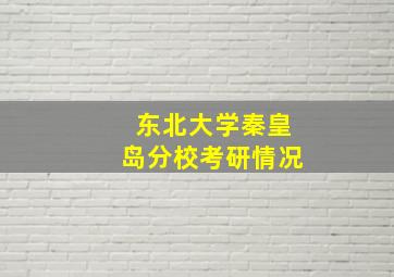 东北大学秦皇岛分校考研情况