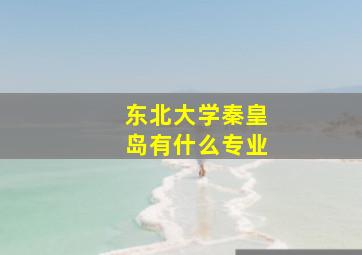 东北大学秦皇岛有什么专业