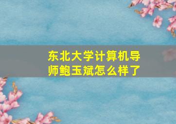 东北大学计算机导师鲍玉斌怎么样了