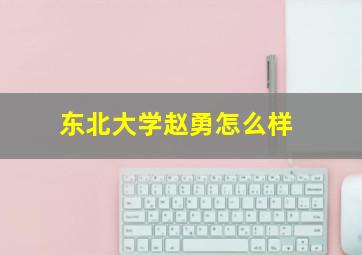 东北大学赵勇怎么样