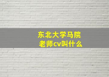 东北大学马院老师cv叫什么