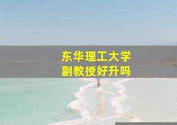 东华理工大学副教授好升吗