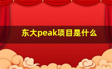 东大peak项目是什么