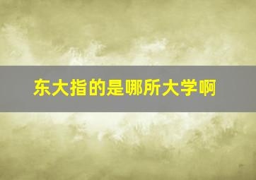 东大指的是哪所大学啊