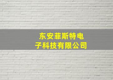 东安菲斯特电子科技有限公司