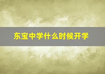 东宝中学什么时候开学