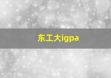 东工大igpa