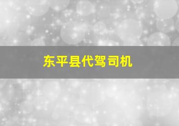 东平县代驾司机