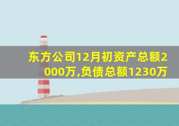 东方公司12月初资产总额2000万,负债总额1230万