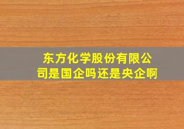 东方化学股份有限公司是国企吗还是央企啊