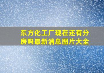 东方化工厂现在还有分房吗最新消息图片大全