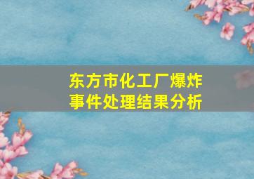 东方市化工厂爆炸事件处理结果分析