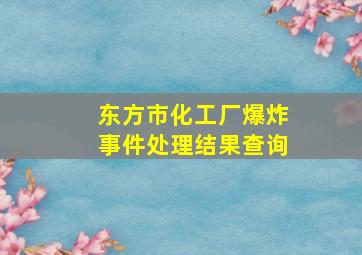 东方市化工厂爆炸事件处理结果查询