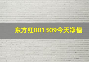 东方红001309今天净值