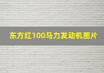 东方红100马力发动机图片