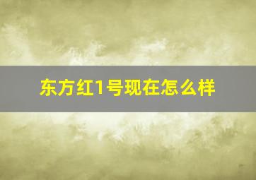 东方红1号现在怎么样