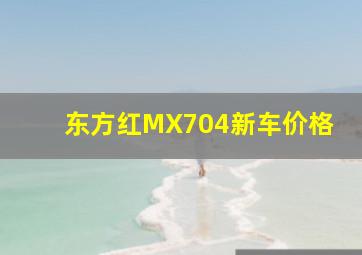 东方红MX704新车价格