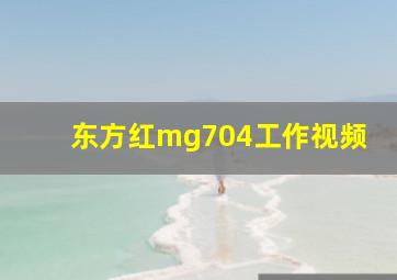 东方红mg704工作视频