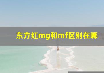 东方红mg和mf区别在哪