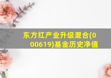 东方红产业升级混合(000619)基金历史净值