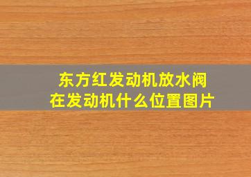 东方红发动机放水阀在发动机什么位置图片