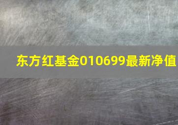 东方红基金010699最新净值