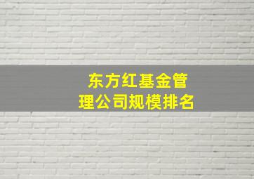 东方红基金管理公司规模排名