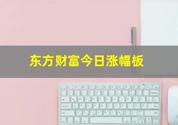 东方财富今日涨幅板