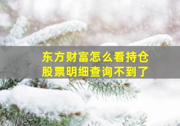 东方财富怎么看持仓股票明细查询不到了