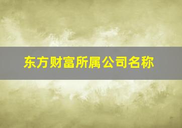 东方财富所属公司名称