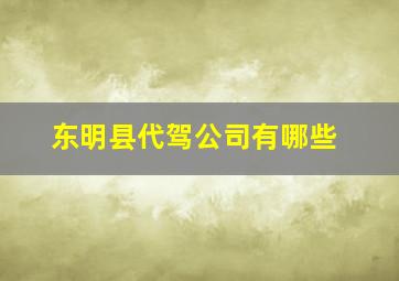 东明县代驾公司有哪些