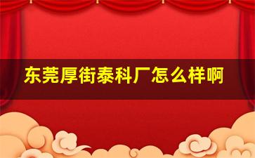 东莞厚街泰科厂怎么样啊