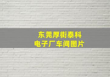 东莞厚街泰科电子厂车间图片