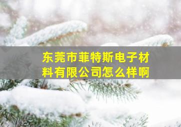 东莞市菲特斯电子材料有限公司怎么样啊