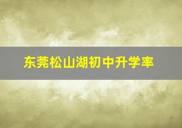 东莞松山湖初中升学率