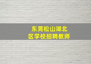 东莞松山湖北区学校招聘教师