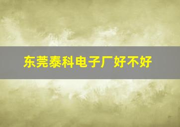 东莞泰科电子厂好不好