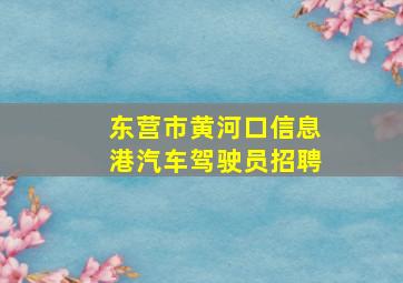 东营市黄河口信息港汽车驾驶员招聘