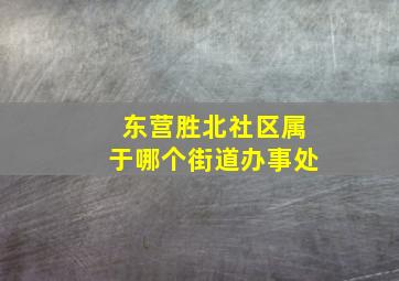 东营胜北社区属于哪个街道办事处