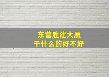 东营胜建大厦干什么的好不好