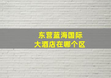 东营蓝海国际大酒店在哪个区