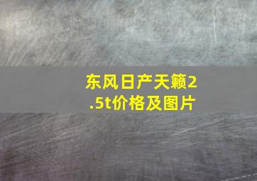 东风日产天籁2.5t价格及图片