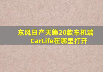 东风日产天籁20款车机端CarLife在哪里打开