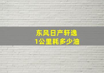 东风日产轩逸1公里耗多少油