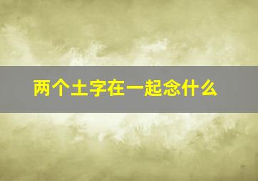 两个土字在一起念什么